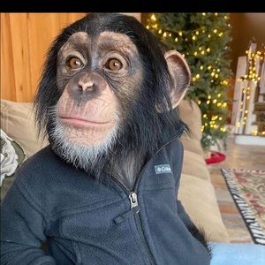 Meet your Posher, Jack